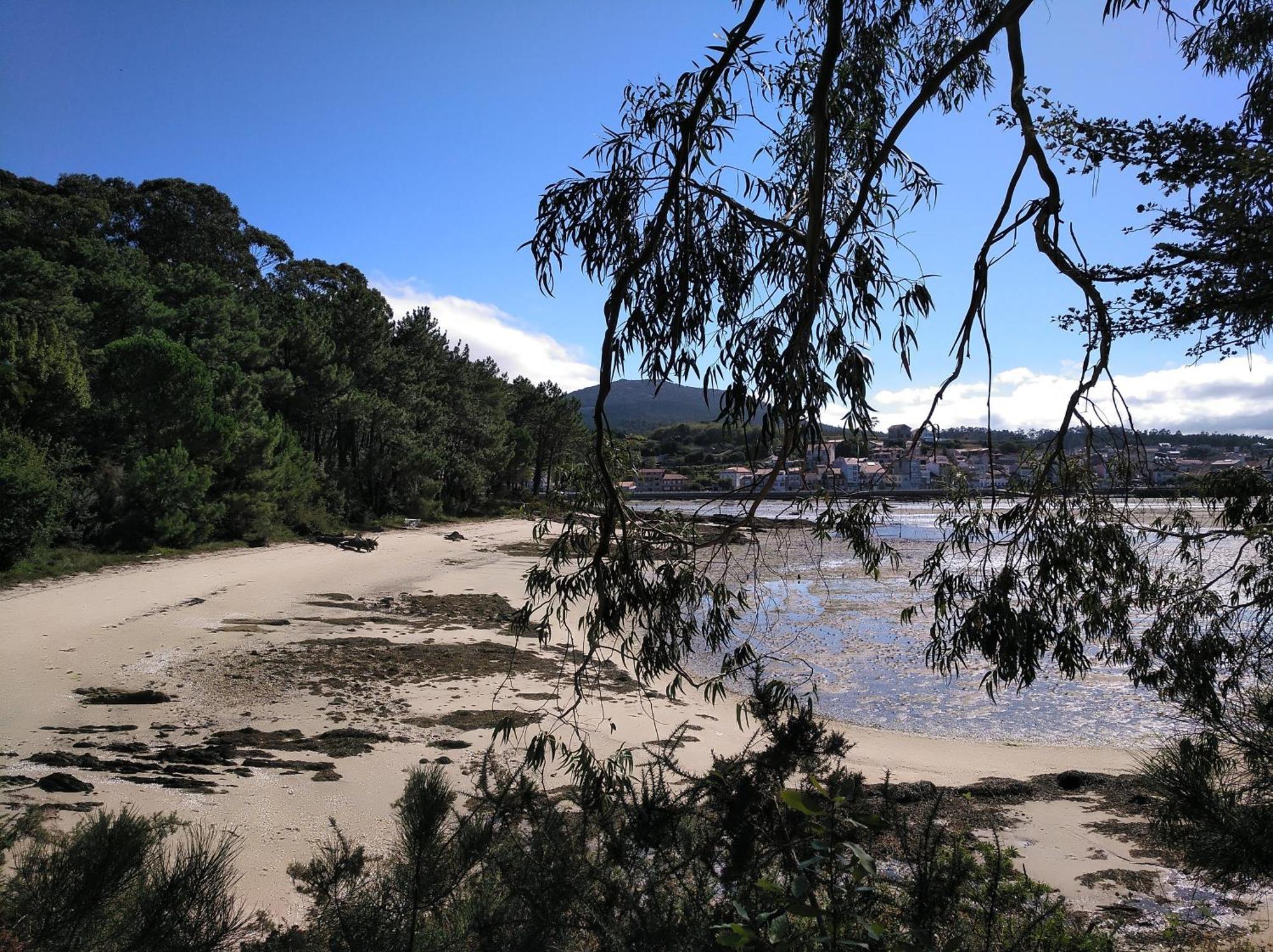 Casa Vily Vilagarcia de Arousa Bagian luar foto